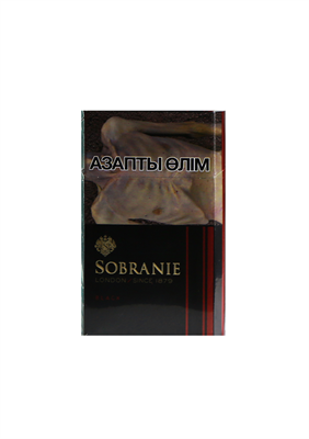 SOBRANIE REFINE BLACK - фото 18137