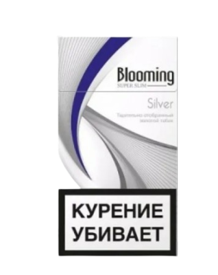 Blooming Silver - фото 26976