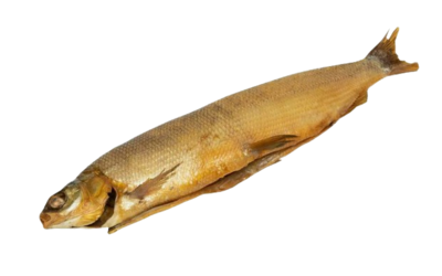 Муксун х/к потрошеный - фото 30753