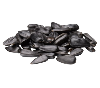 Семечки ИЗНАВР порция - фото 31846