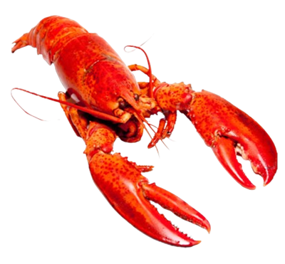 Раки (крупные) кг - фото 32073