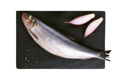 Сельдь с/с Атлантическая  - фото 32345