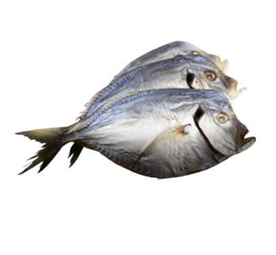 Вомер вяленый - фото 32604