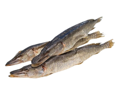 Щука вяленая - фото 32606