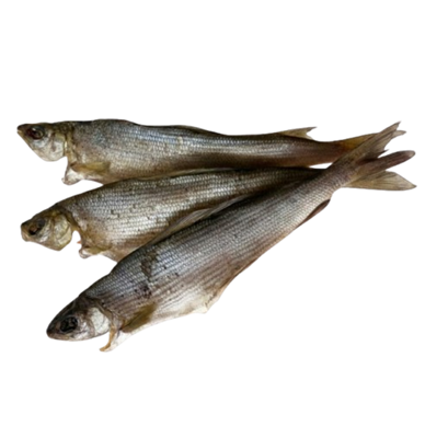 Хариус вяленый  - фото 32607