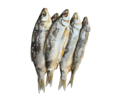 Пелядь вяленая цельная - фото 32756