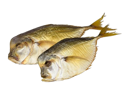 Вомер х/к - фото 32939