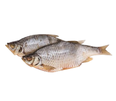 Красноперка вяленая /Россия/ - фото 32946