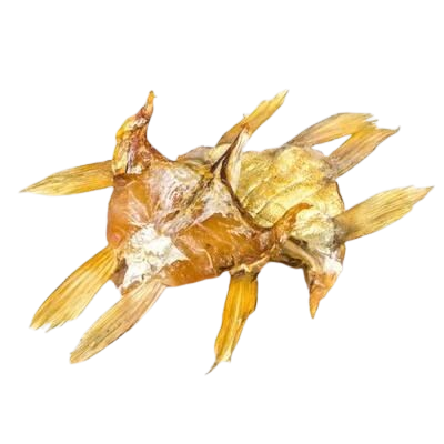 Плавники судака г/к - фото 33054