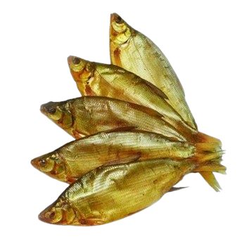 Пелядь н/р х/к/Россия/ - фото 33059