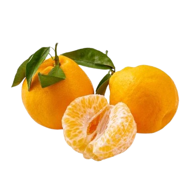 Мандарин Папаган  - фото 35658