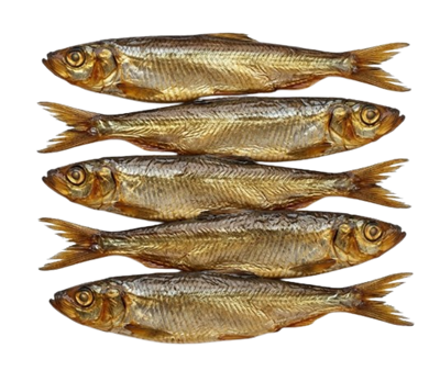 Рипус х/к - фото 39841