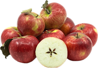 Яблоки Апорт /1837/