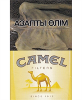 Camel Yellow