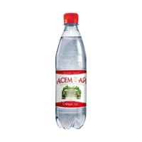 Сары-Агаш Асем-Ай с газом 1,0 л