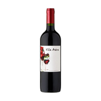 Вино Villa Andina Cabernet Sauvignon Syrah Чили  0,75л