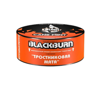 Табак для кальяна Black burn Тростниковая мята, 25гр