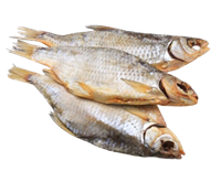 Вобла х/к Fish Dream кг