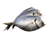 Вомер вяленый