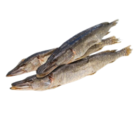 Щука вяленая