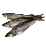 Хариус вяленый 