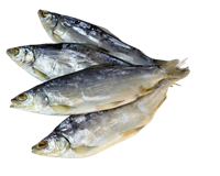 Пелядь вяленая /Россия/