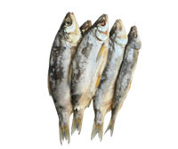 Пелядь вяленая цельная