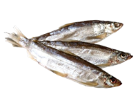 Ряпушка вяленая /Россия/