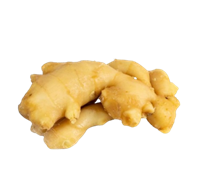 Корень Имбиря