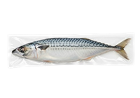 Скумбрия Рыбный мир С/М кг