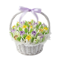 Зефир Тюльпаны в корзине 13650