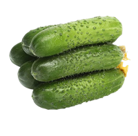 Огурцы корнишоны