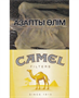 Camel Yellow - фото 18296