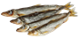 Корюшка вяленая Крупная /Россия/ - фото 25809 Корюшка вяленая Крупная /Россия/ - фото 25809