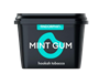 Табак для кальяна Endorphin Mint gum мятная жвачка, 60гр - фото 29270