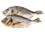 Дорадо вяленая - фото 33113