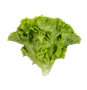 Листья салат - фото 36413