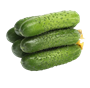 Огурцы корнишоны - фото 36551
