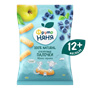 Кукурузные палочки Фруто-Няня яблоко черника 20гр - фото 40379
